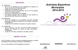 Campaña SEM 2014-15 en portal web