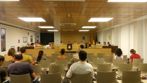 Pleno Partido Popular