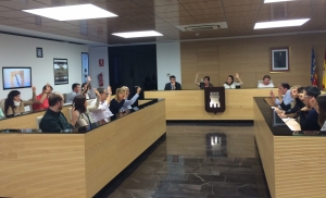 Pleno ordinario