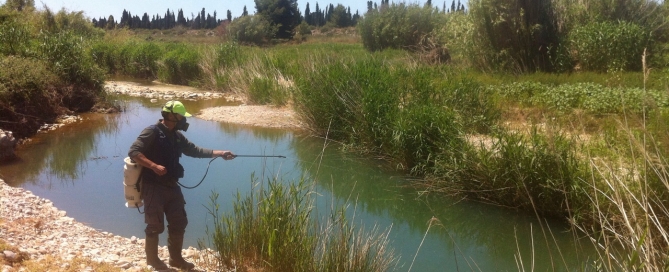 Tratamientos mosquitos en Riu Millars