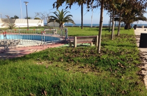Zonas ajardinadas litoral (4)