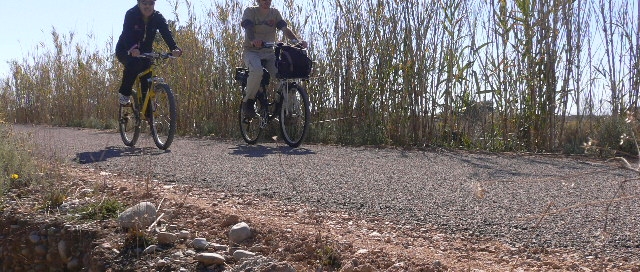 Senda de la desembocadura del Riu Millars (2)