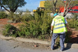 Plan Municipal de Empleo