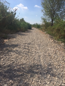 Estado senda del Millars (3)