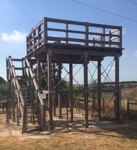 Estado senda del Millars (4)