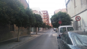 Jardinería Almassora