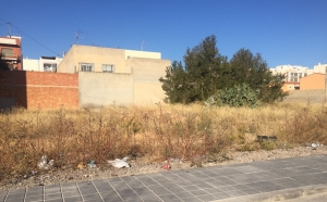 Solares Hernán Cortés (3)