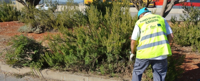 Plan Municipal de Empleo