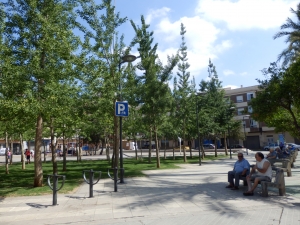 Populares Almassora: Plaza Botanic Calduch