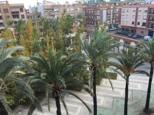 Plaza Botànic Calduch