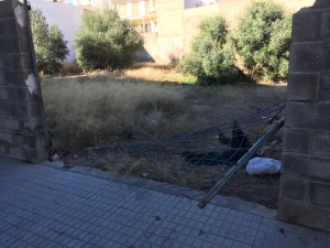 Solares abandonados