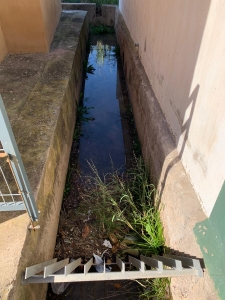 Acequias Almassora (3)
