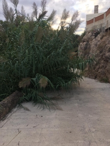 Embarcadero de piraguas Almassora (2)
