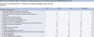 Infracciones penales 2022 Almassora