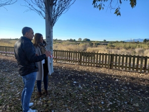 millars-projecte-almassora