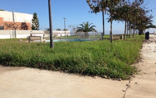 Zonas ajardinadas litoral (2)