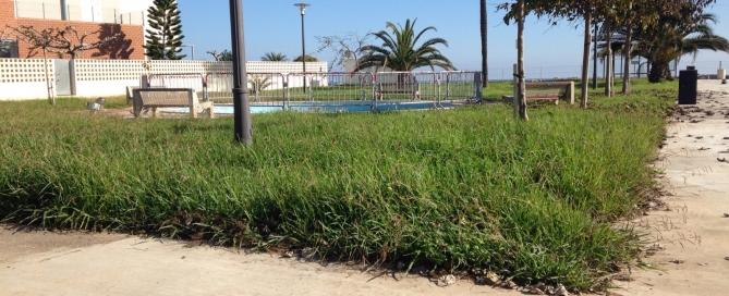 Zonas ajardinadas litoral (2)