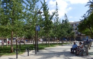 Populares Almassora: Plaza Botanic Calduch