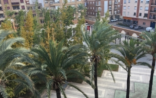 Plaza Botànic Calduch