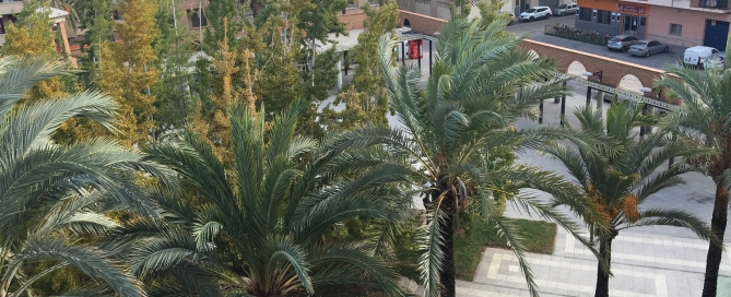 Plaza Botànic Calduch